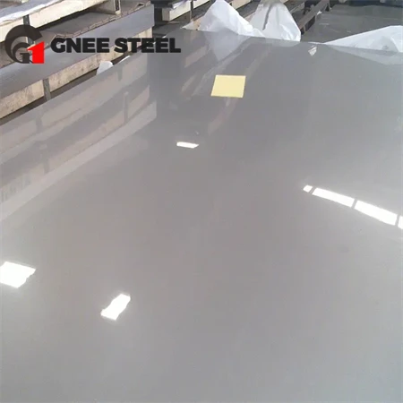Stainless Steel Plate27