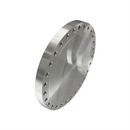 SUS 316N Stainless Steel Flange