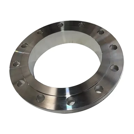 SUS 317 Stainless Steel Flange